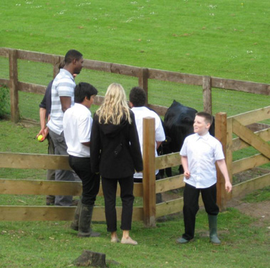 Image courtesy of Tom's Farm